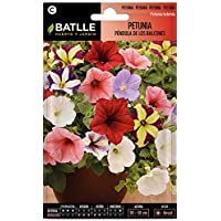 Los mejores  - Semillas de Flores - Petunia Péndula de los Balcones - Batlle
